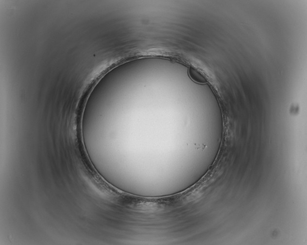 X0000097620298200803142008