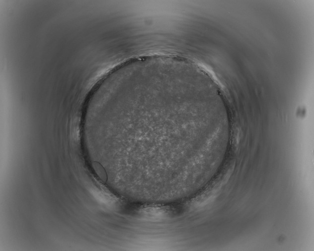 X0000097620299200803142008