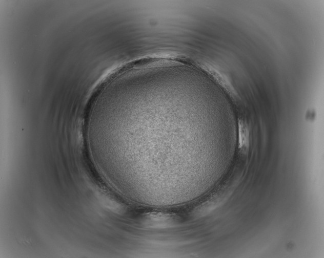 X0000097620300200803142008