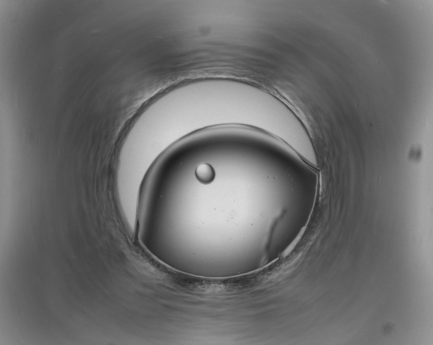 X0000097620301200803142008