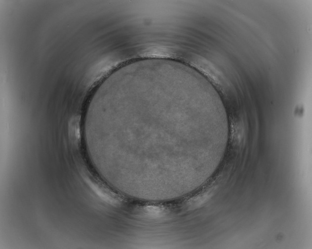 X0000097620302200803142008