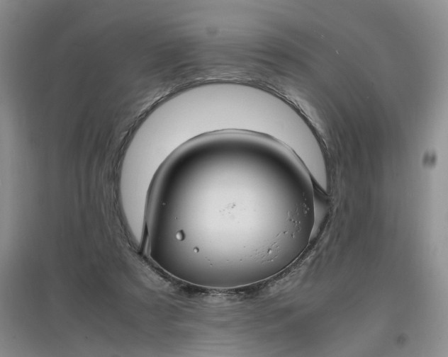 X0000097620305200803142008