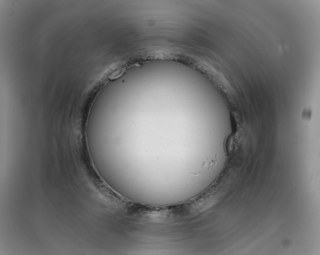 X0000097620306200803142008