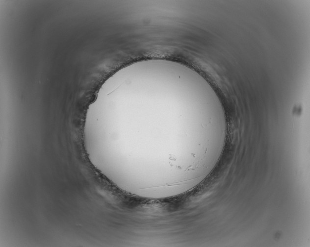 X0000097620307200803142008
