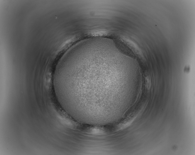X0000097620308200803142008