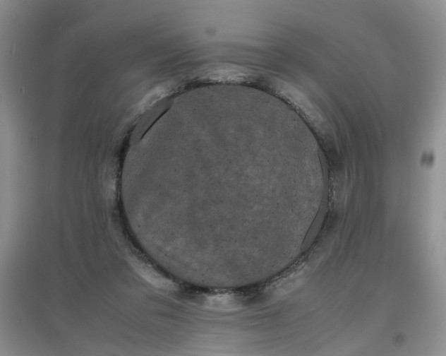 X0000097620309200803142008