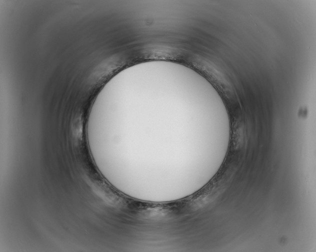 X0000097620310200803142008