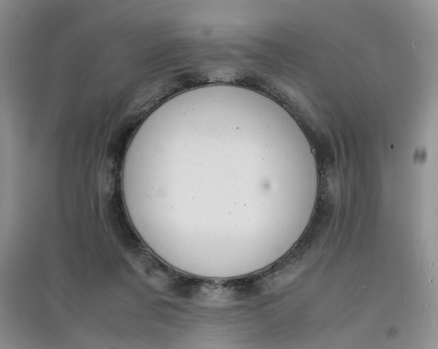 X0000097620311200803142008