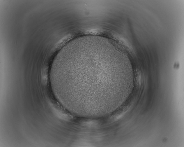 X0000097620312200803142008