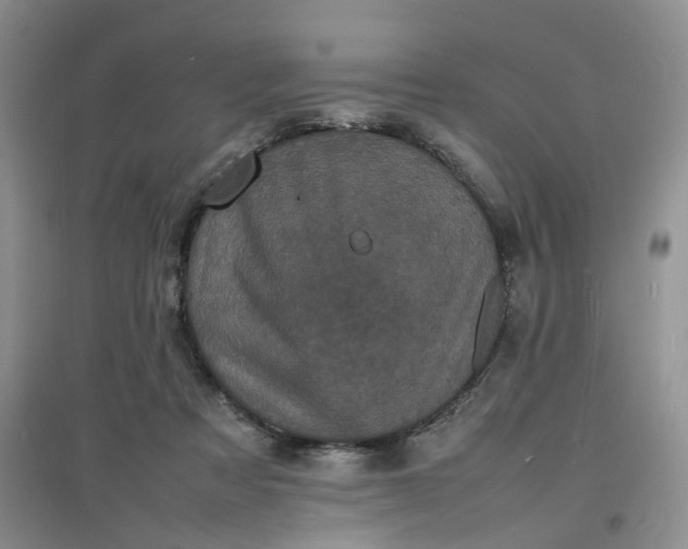X0000097620313200803142008