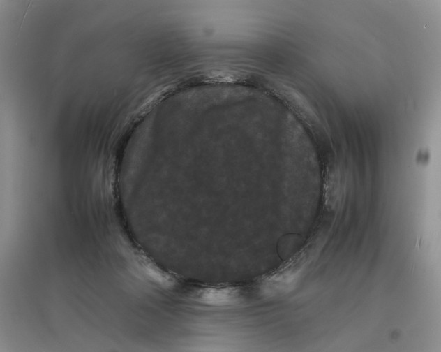 X0000097620314200803142008