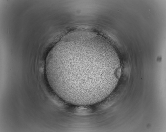 X0000097620315200803142008