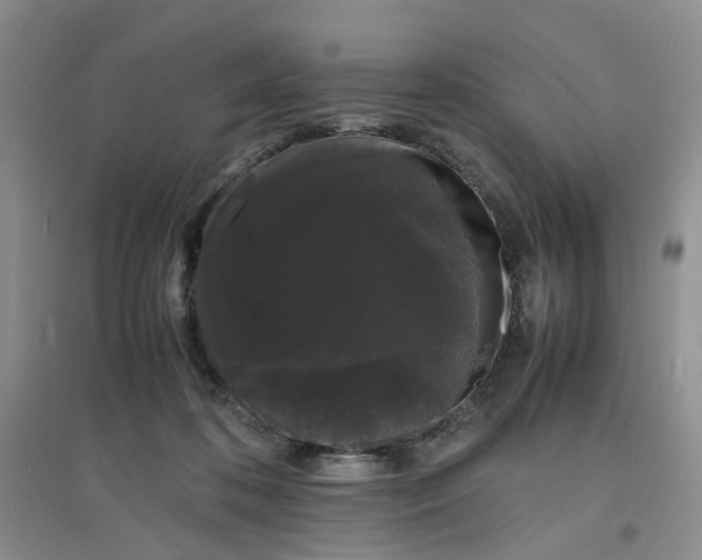 X0000097620316200803142008