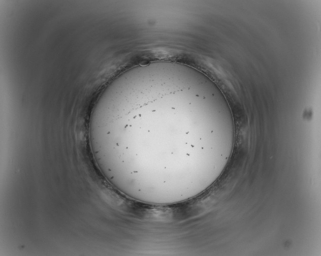 X0000097620317200803142008