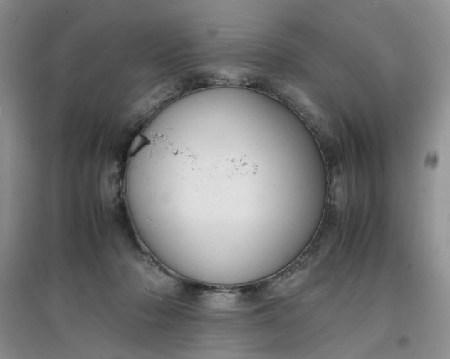X0000097620318200803142008