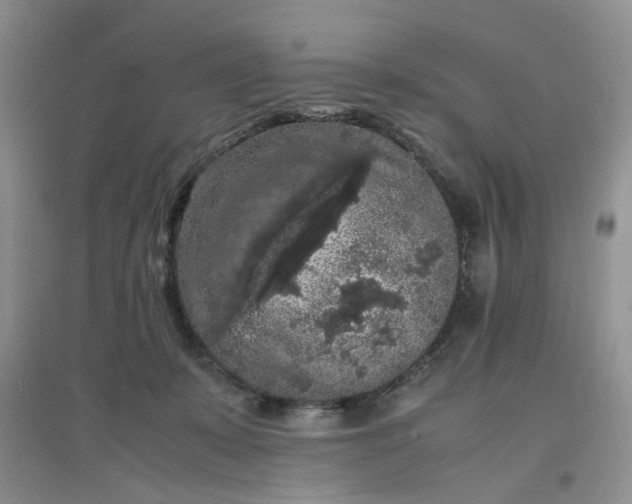 X0000097620319200803142008
