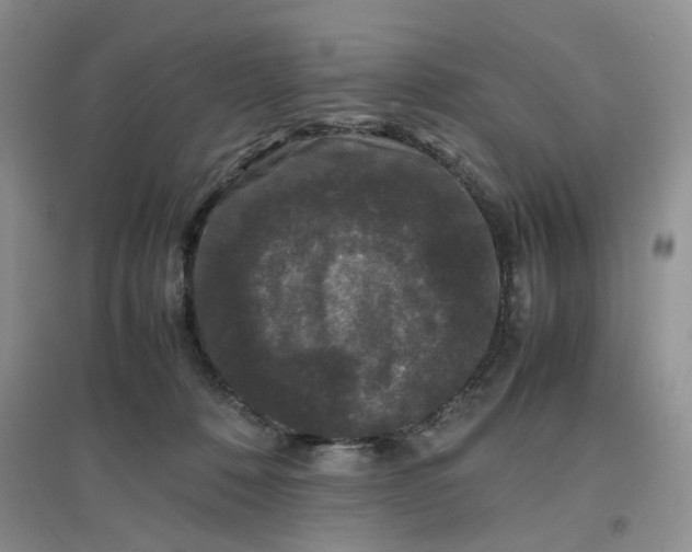 X0000097620320200803142008