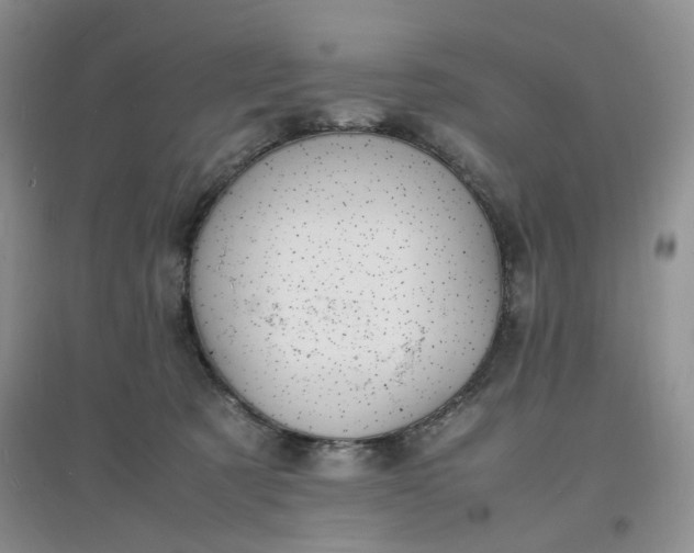 X0000097620321200803142008