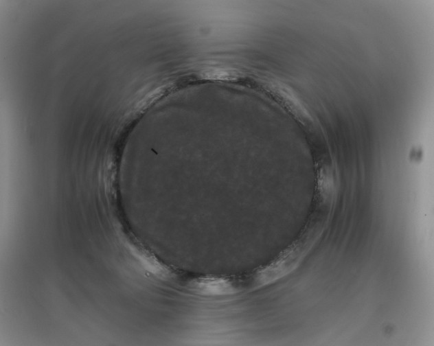 X0000097620322200803142008