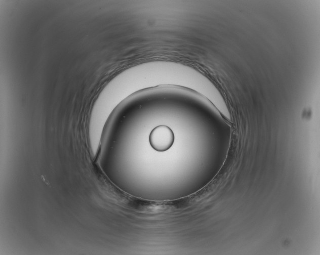 X0000097620323200803142008