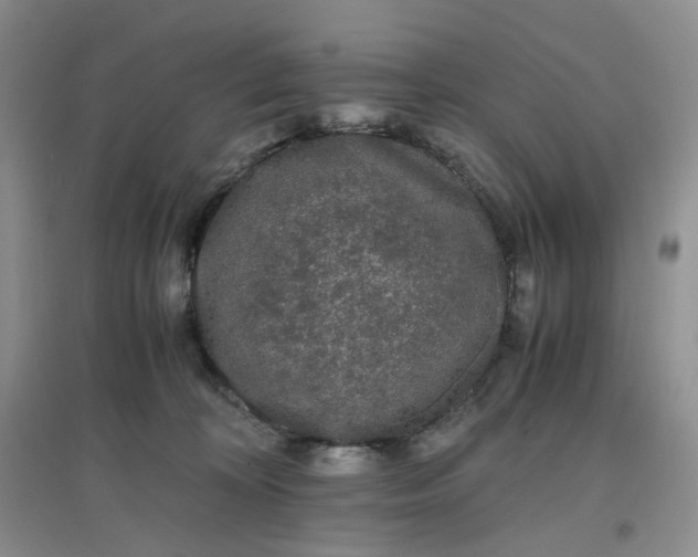 X0000097620324200803142008