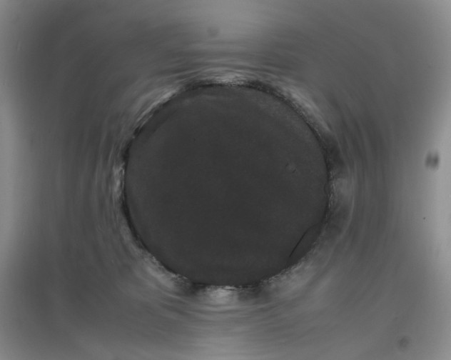 X0000097620325200803142008
