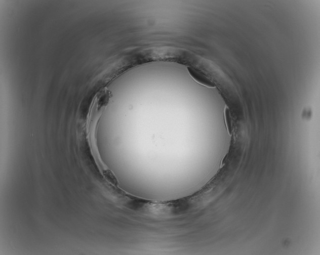 X0000097620327200803142008