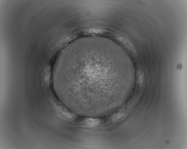 X0000097620328200803142008