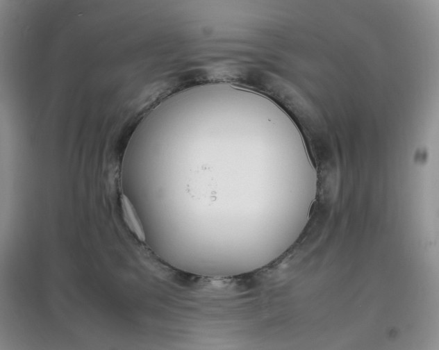 X0000097620329200803142008