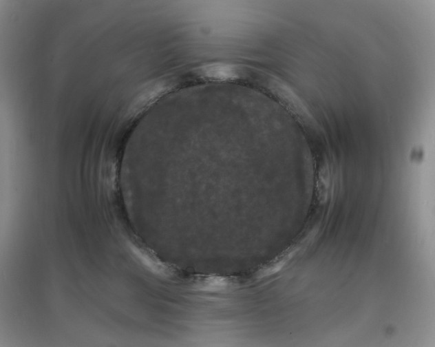 X0000097620330200803142008