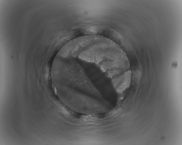 X0000097620331200803142008