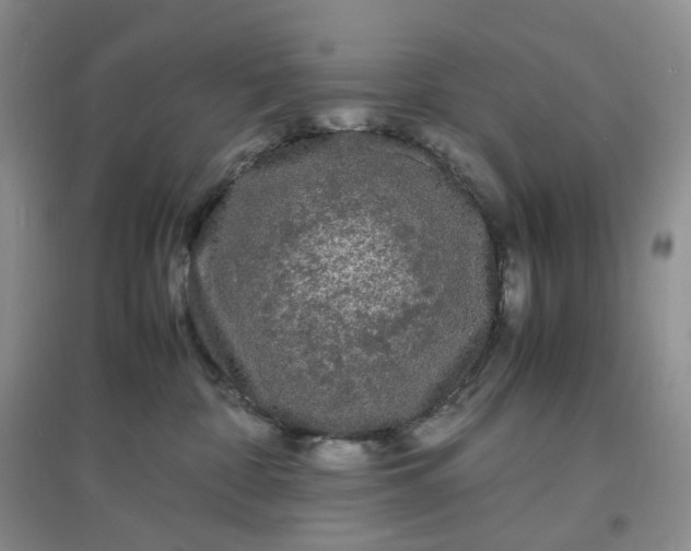 X0000097620332200803142008