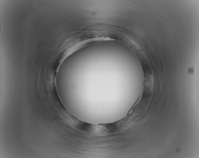 X0000097620333200803142008