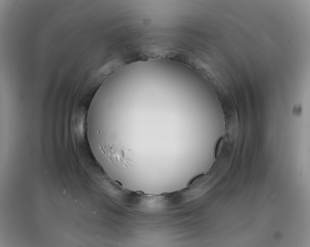 X0000097620334200803142008