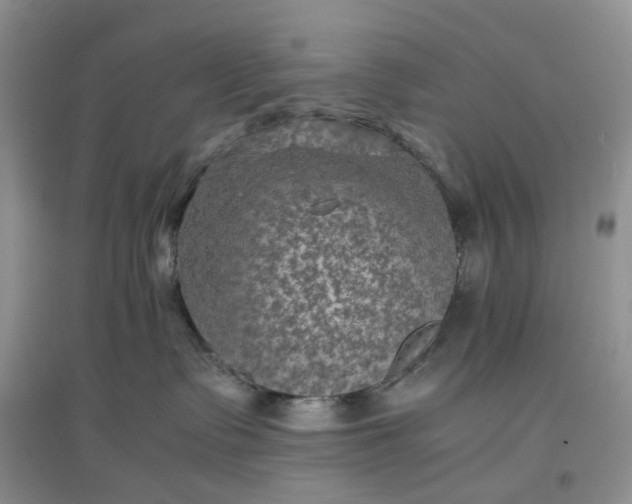 X0000097620335200803142008