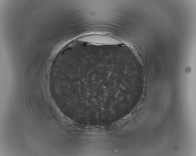 X0000097620337200803142007
