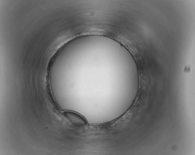 X0000097620338200803142007