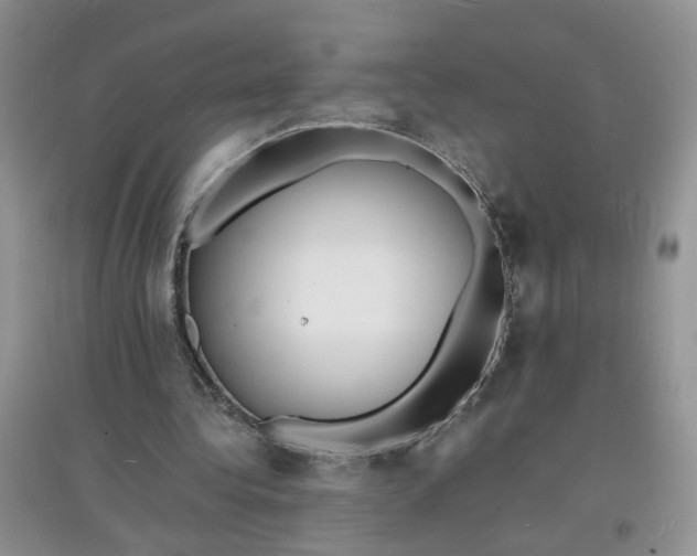 X0000097620340200803142007