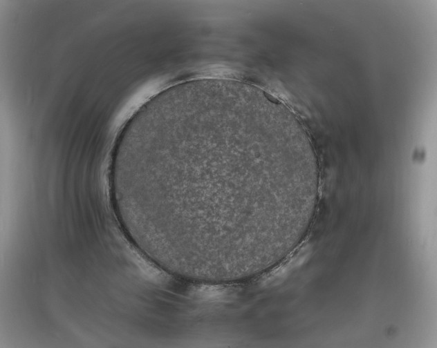 X0000097620341200803142007