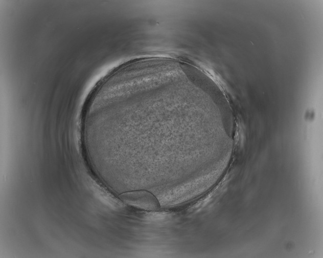 X0000097620342200803142007