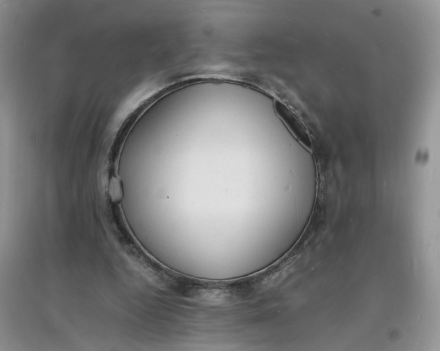 X0000097620344200803142007