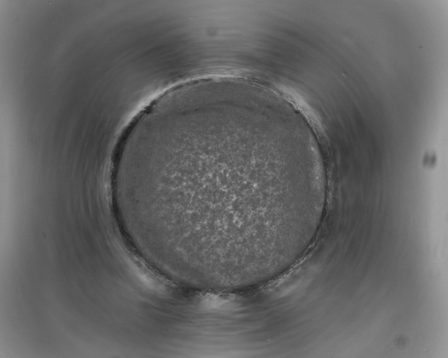 X0000097620346200803142007
