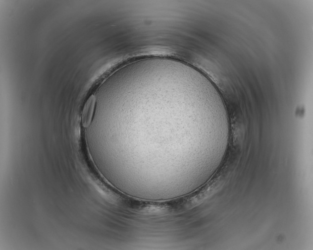 X0000097620350200803142007
