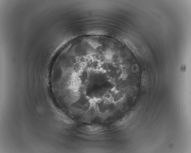 X0000097620351200803142007