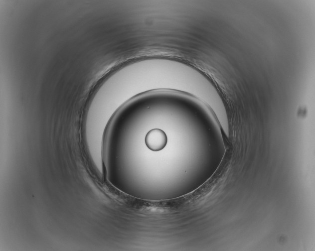 X0000097620352200803142007