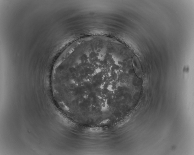 X0000097620353200803142007