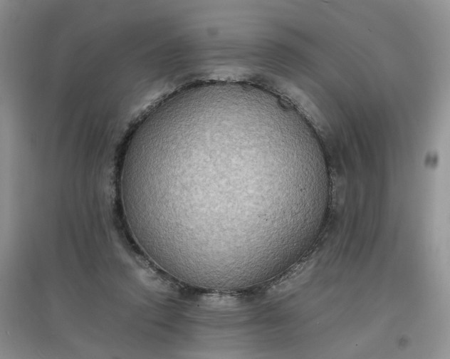 X0000097620354200803142007
