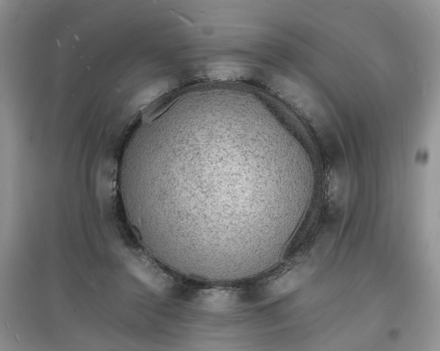 X0000097620356200803142007