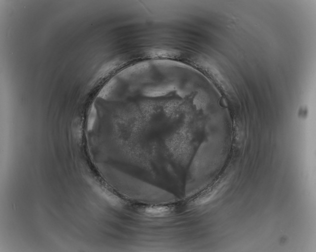 X0000097620357200803142007