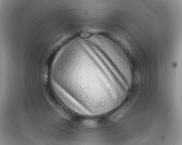 X0000097620358200803142007